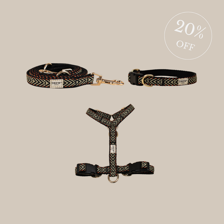 Leuchtend orangefarbenes Set – Geschirr + Halsband + Leine