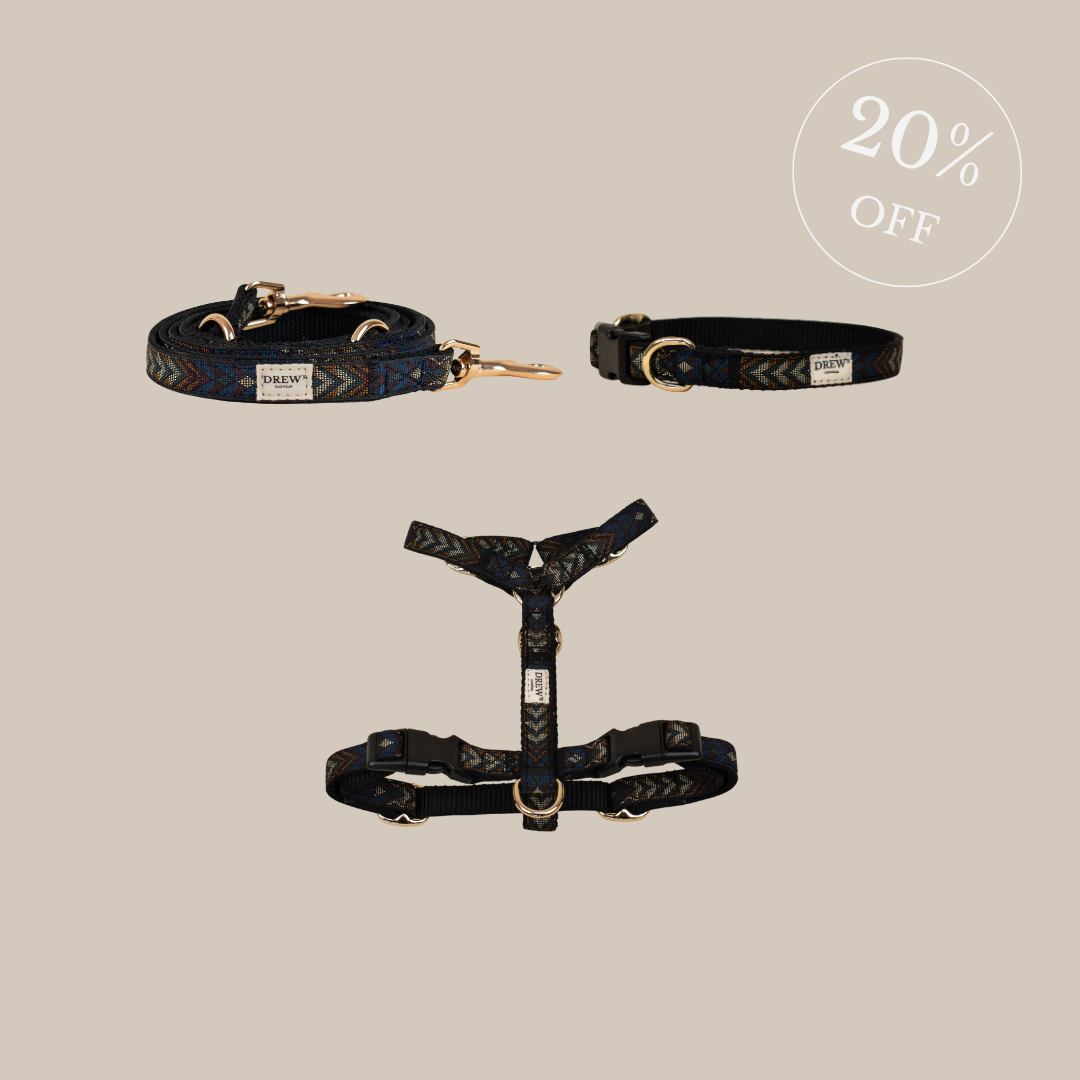 Woody-Set – Geschirr + Halsband + Leine
