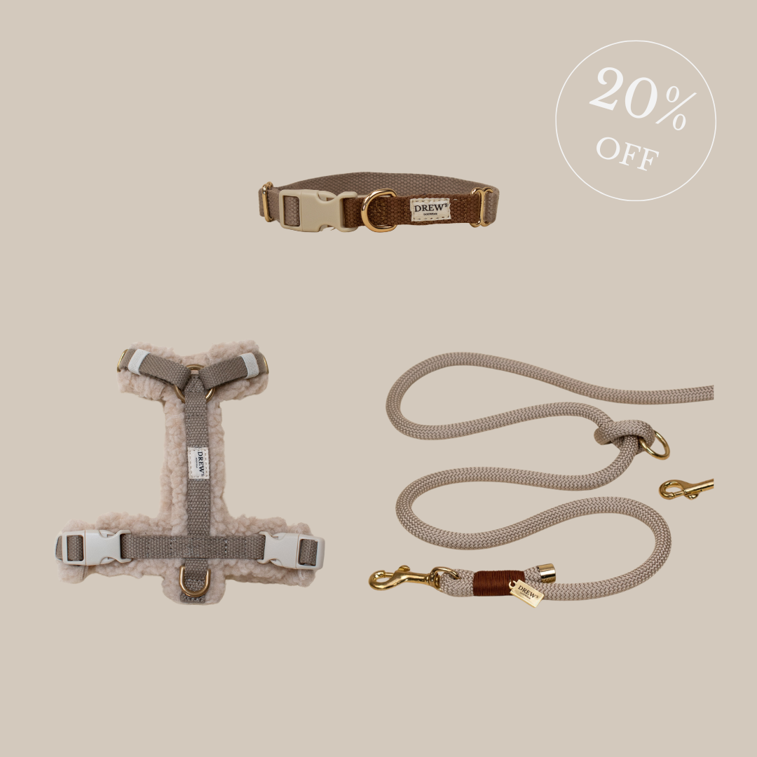 Teddy harness + Chai Latte leash + Cortado collar