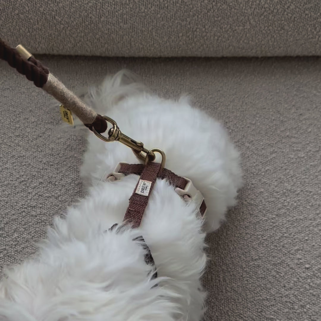 Chocolate dog harness + BROWN standard dog leash
