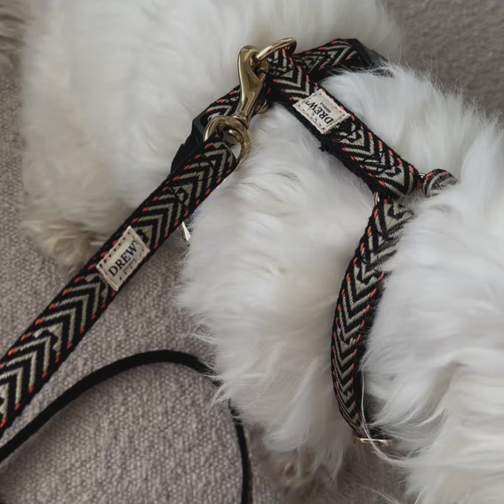 Leuchtend orangefarbenes Set – Geschirr + Halsband + Leine