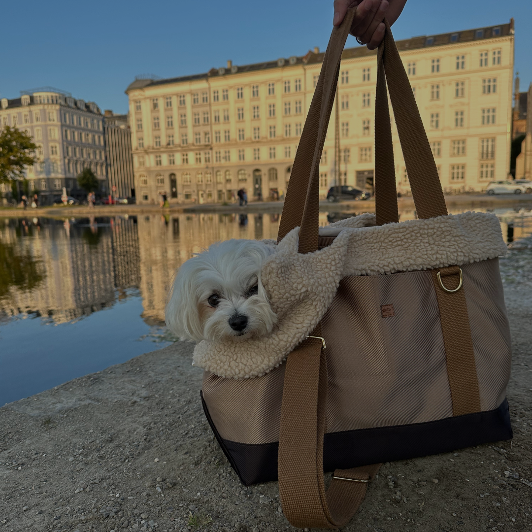 Den perfekte hundetaske indlæg. Billede af hund i taske