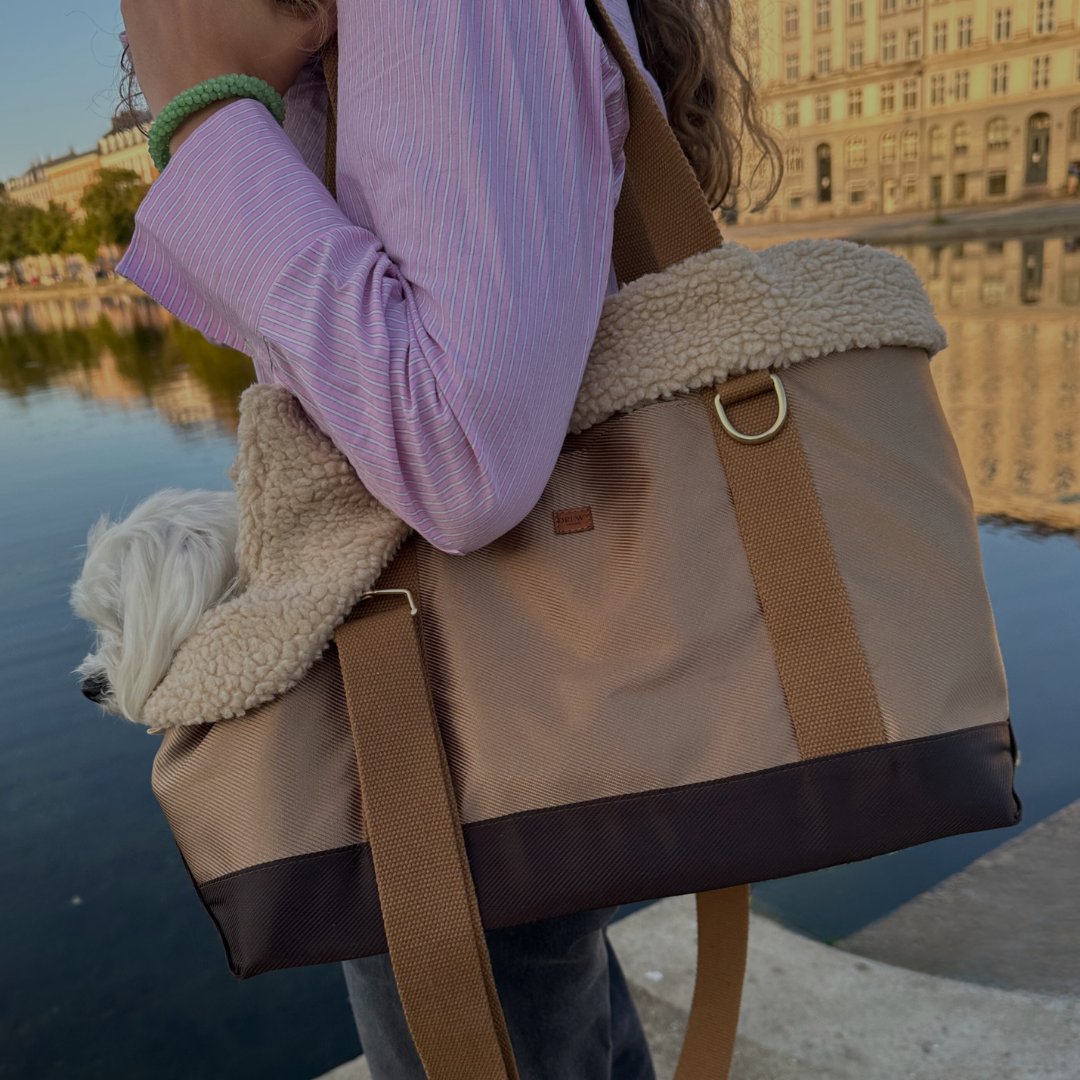 Kan jeg tage min hund med på ferie?