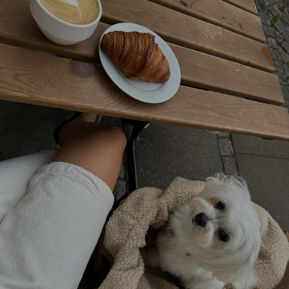 Hundevenlige cafeer