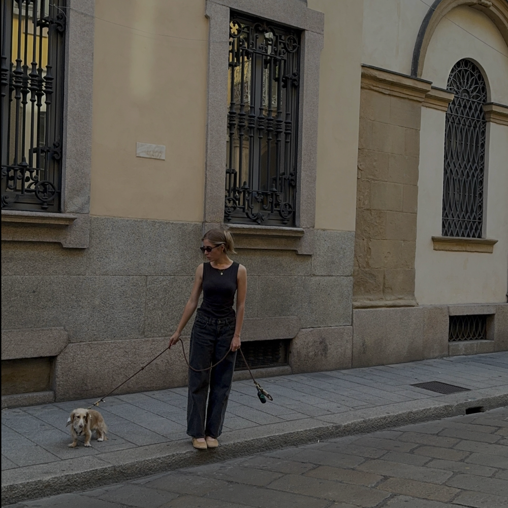 5 gode rejsedestinationer med hund