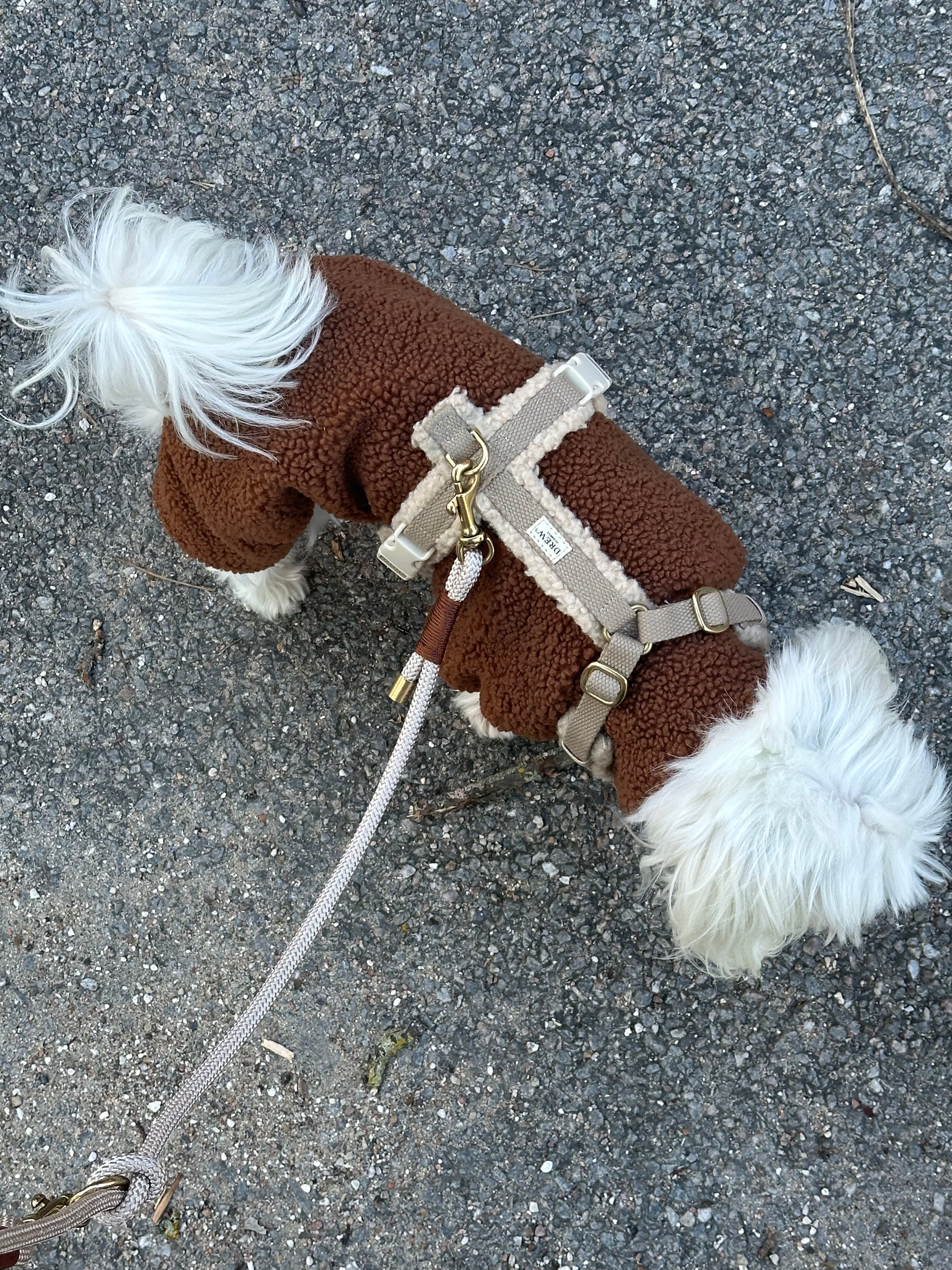 Dog clothes