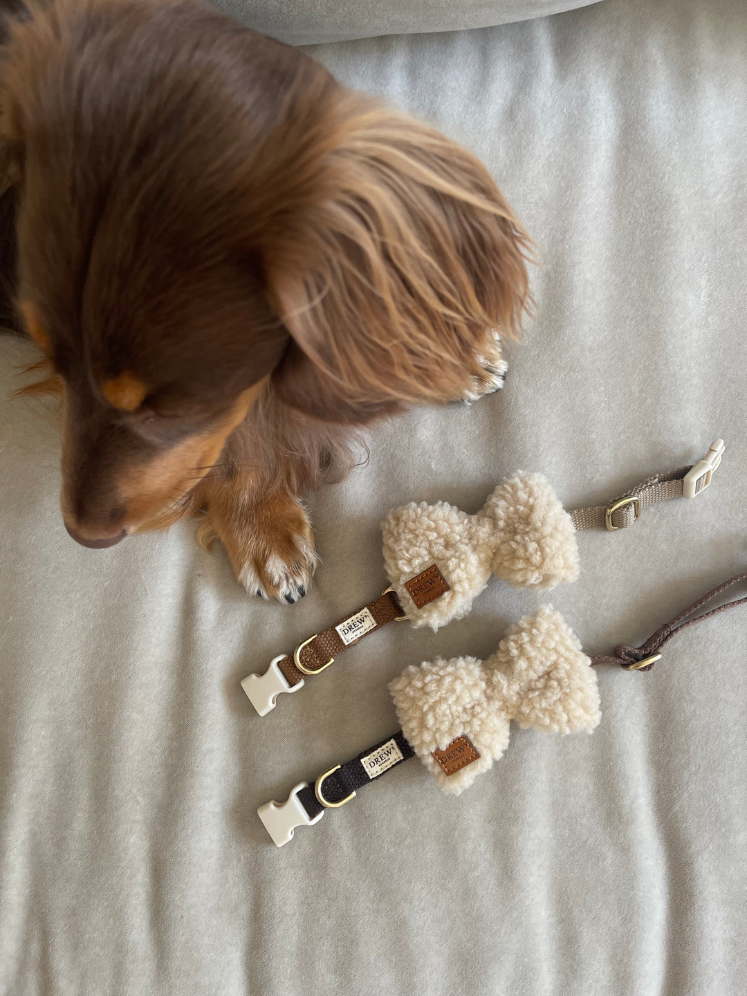 Håndlavet hundeseler, halsbånd, snore og udstyr til hunde hvalpe Drew's Dogwear
