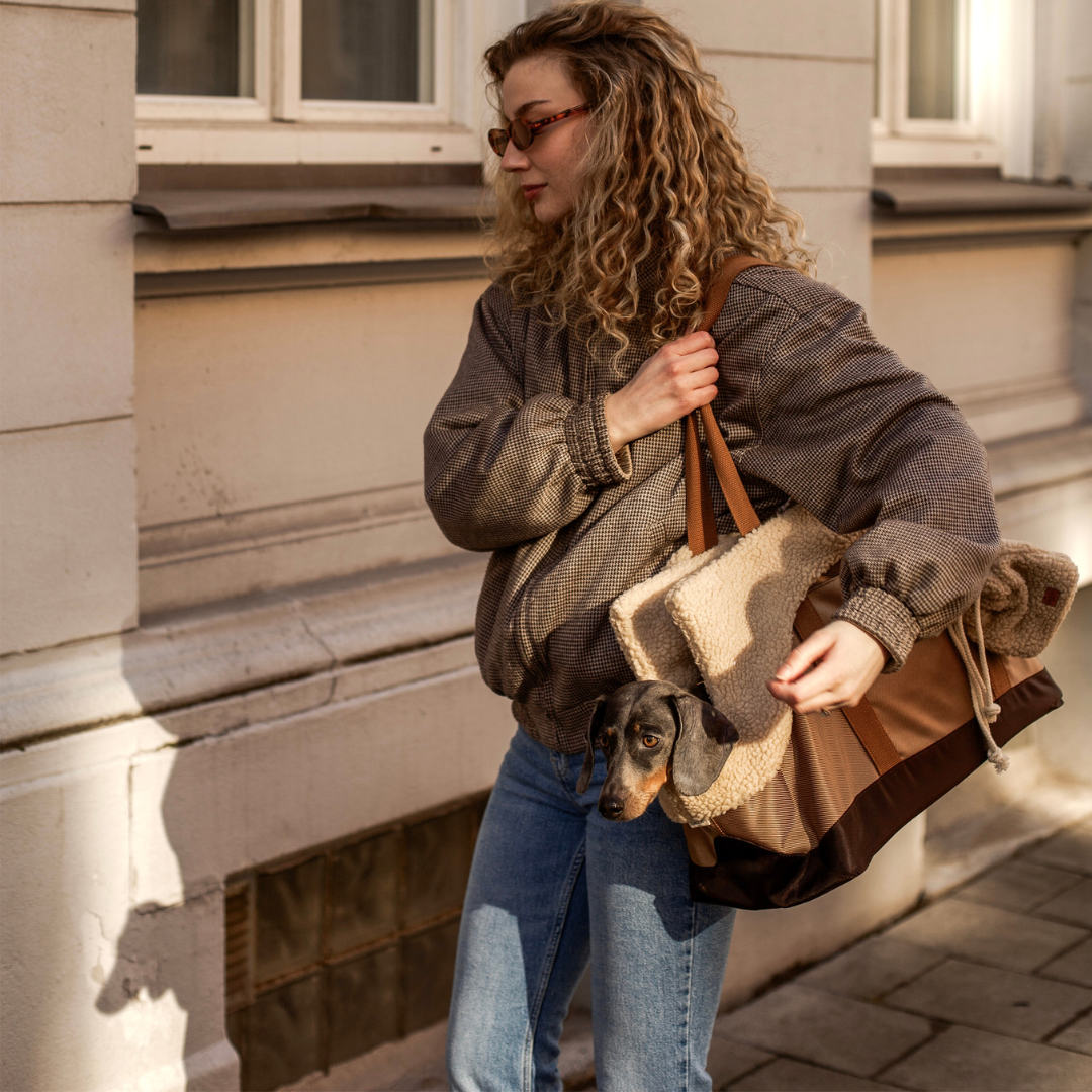 Aspen / Hundetasche mit Teddyfutter