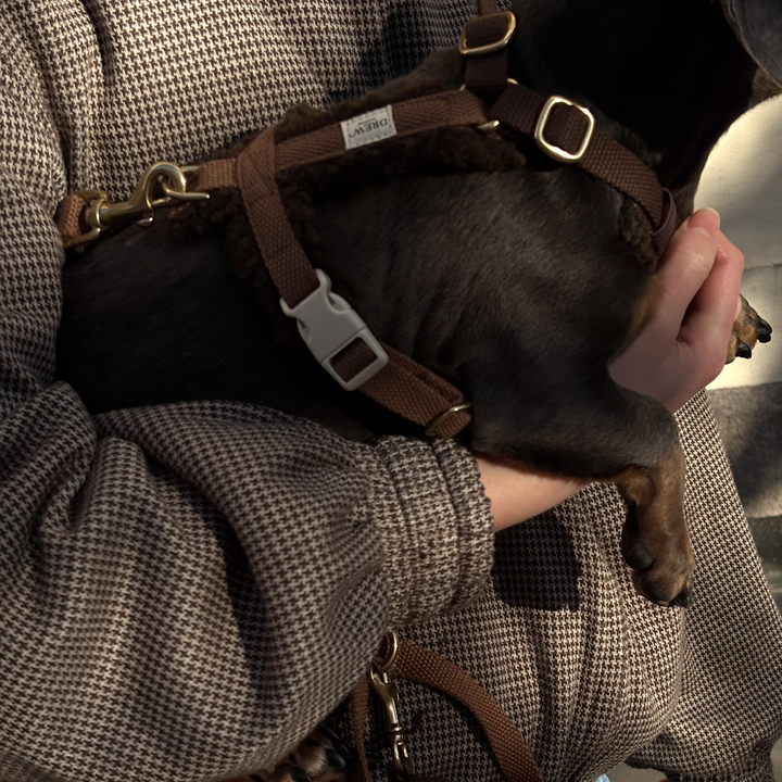Brown / Adjustable dog harness (teddy)