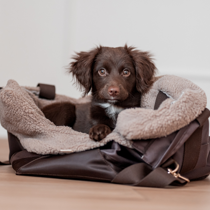 Praktisk og pæn hundetaske i brun til små hunde