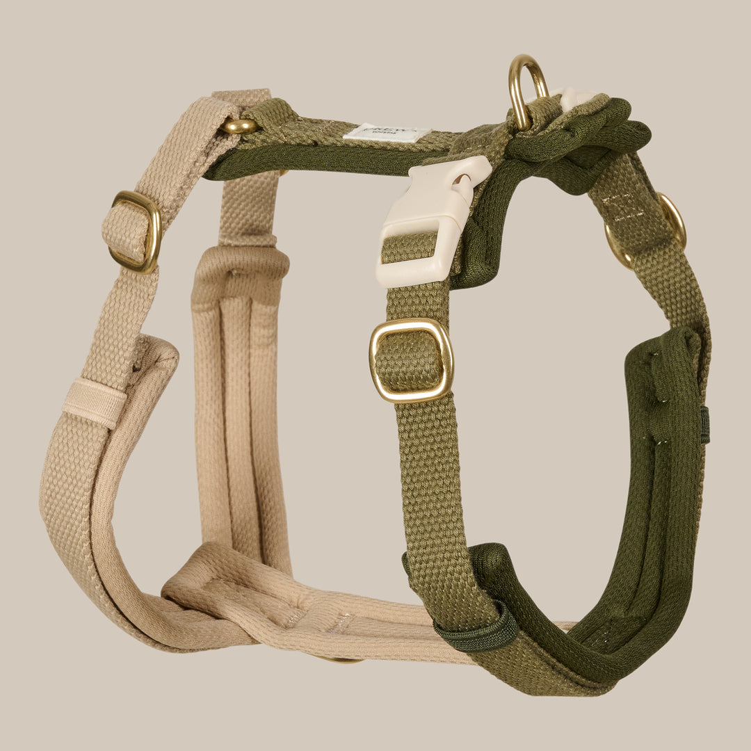 Olive PRO / Verstellbares Hundegeschirr (grün/beige)