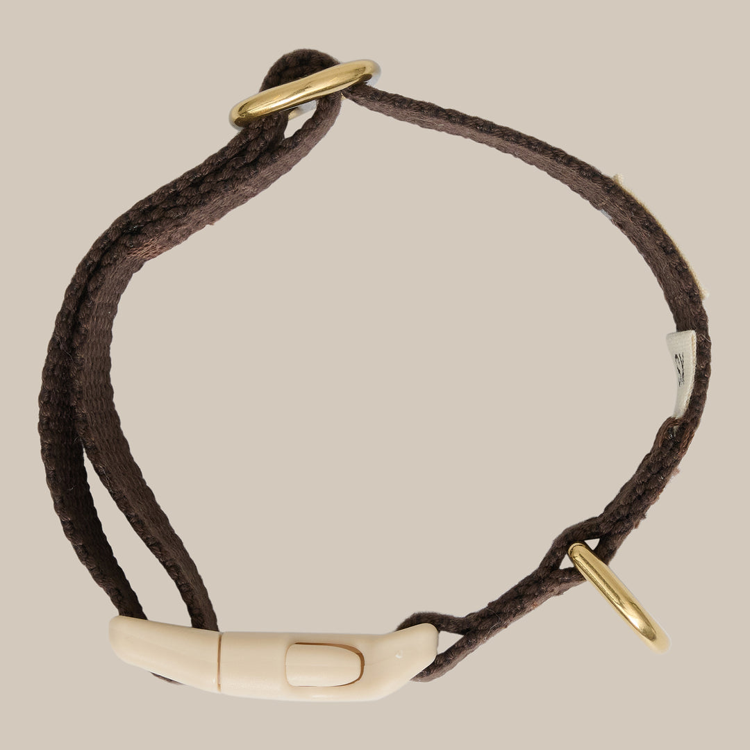 Puppy collar / Dark brown