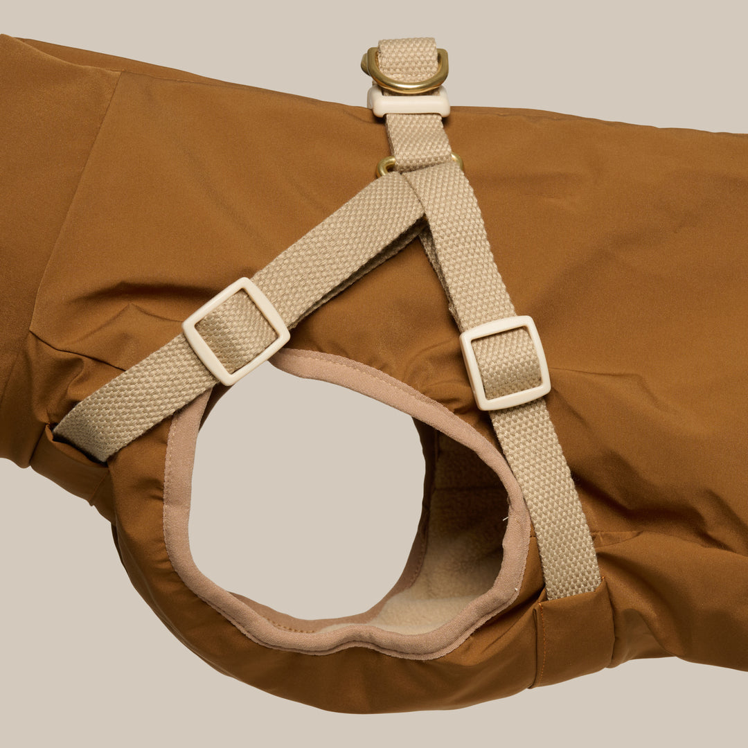 Zermatt // Step-in dog jacket in water-repellent material (brown)