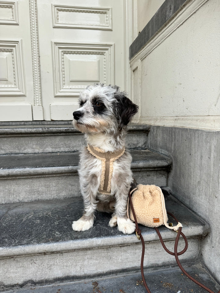 Godbidstaske og teddy hundesele med hund