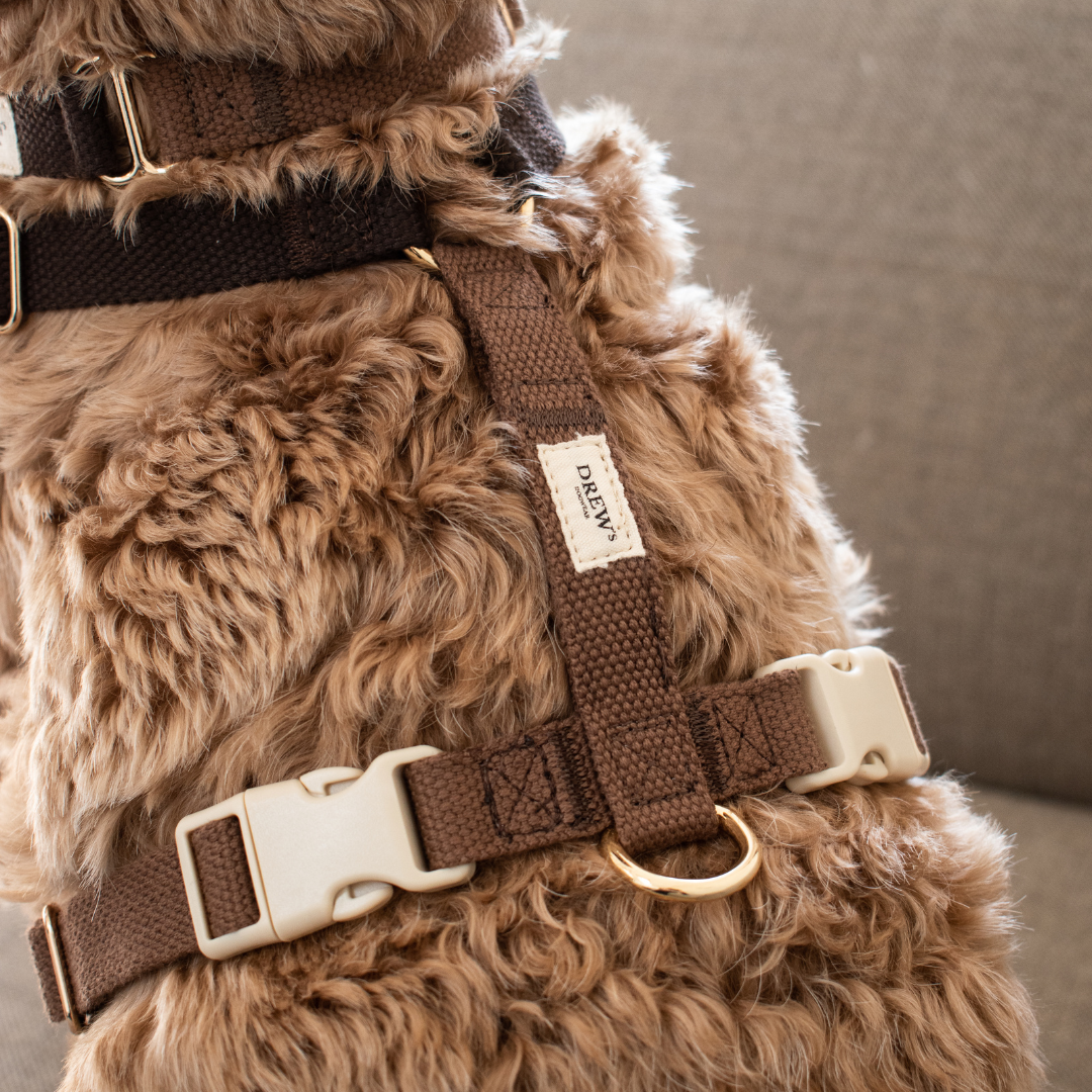 Hundesele i brun på hund