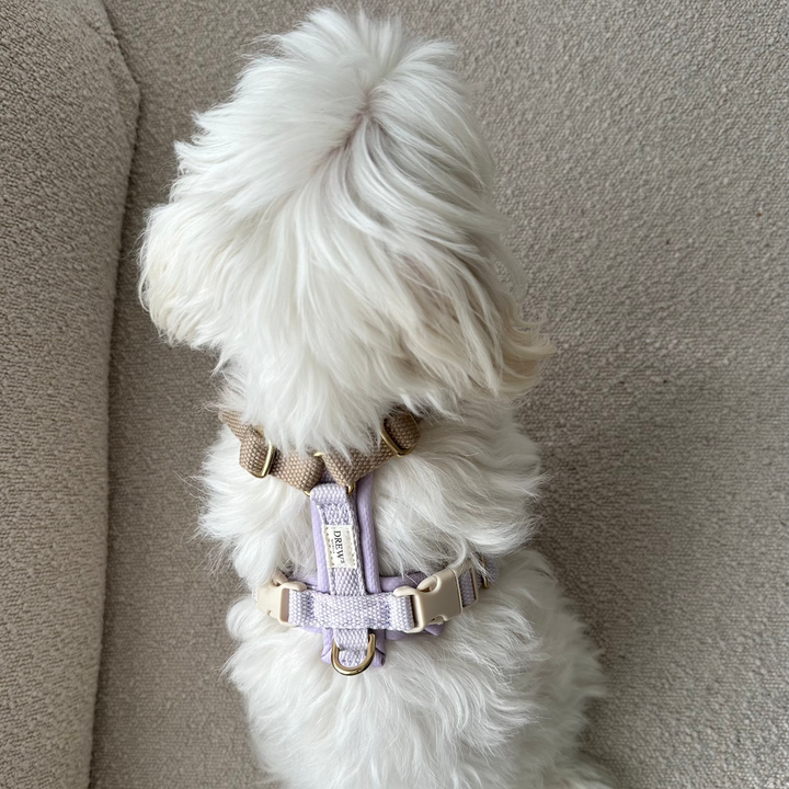 Justerbar hundesele i lilla