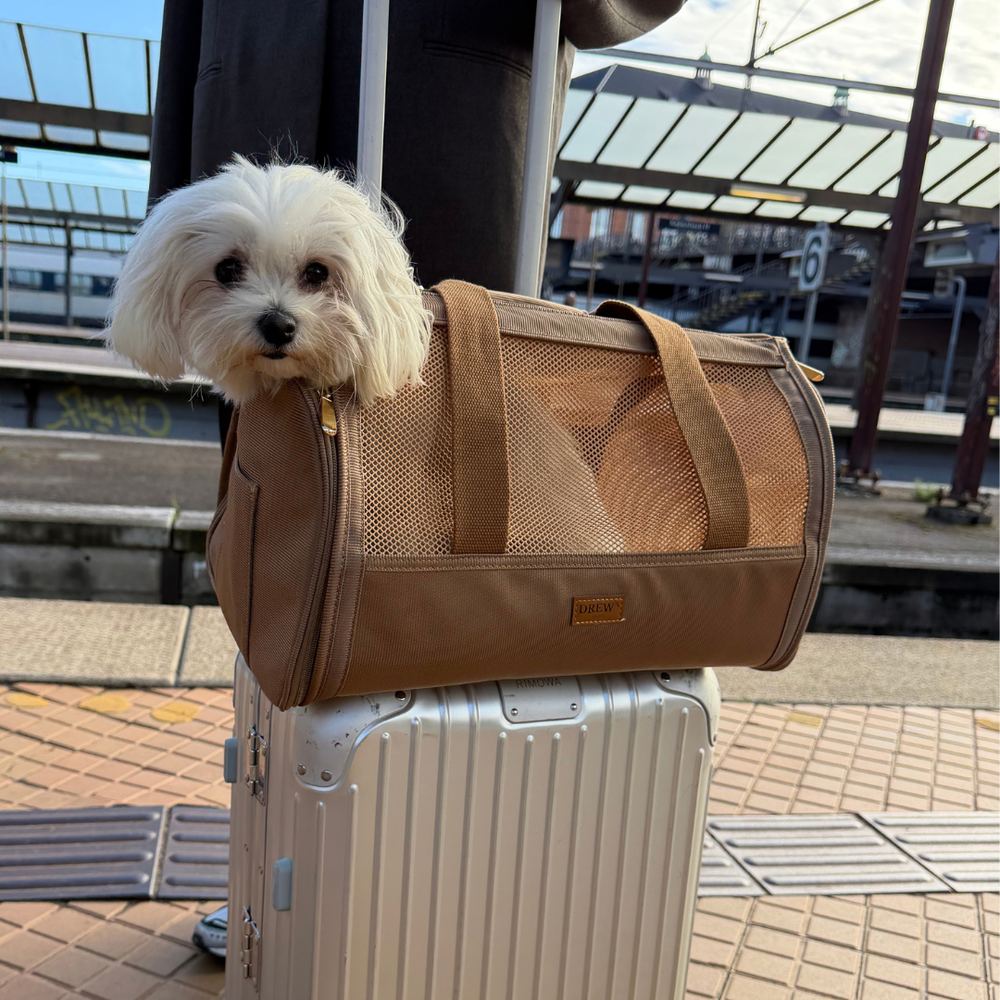 Beige hundetaske til fly