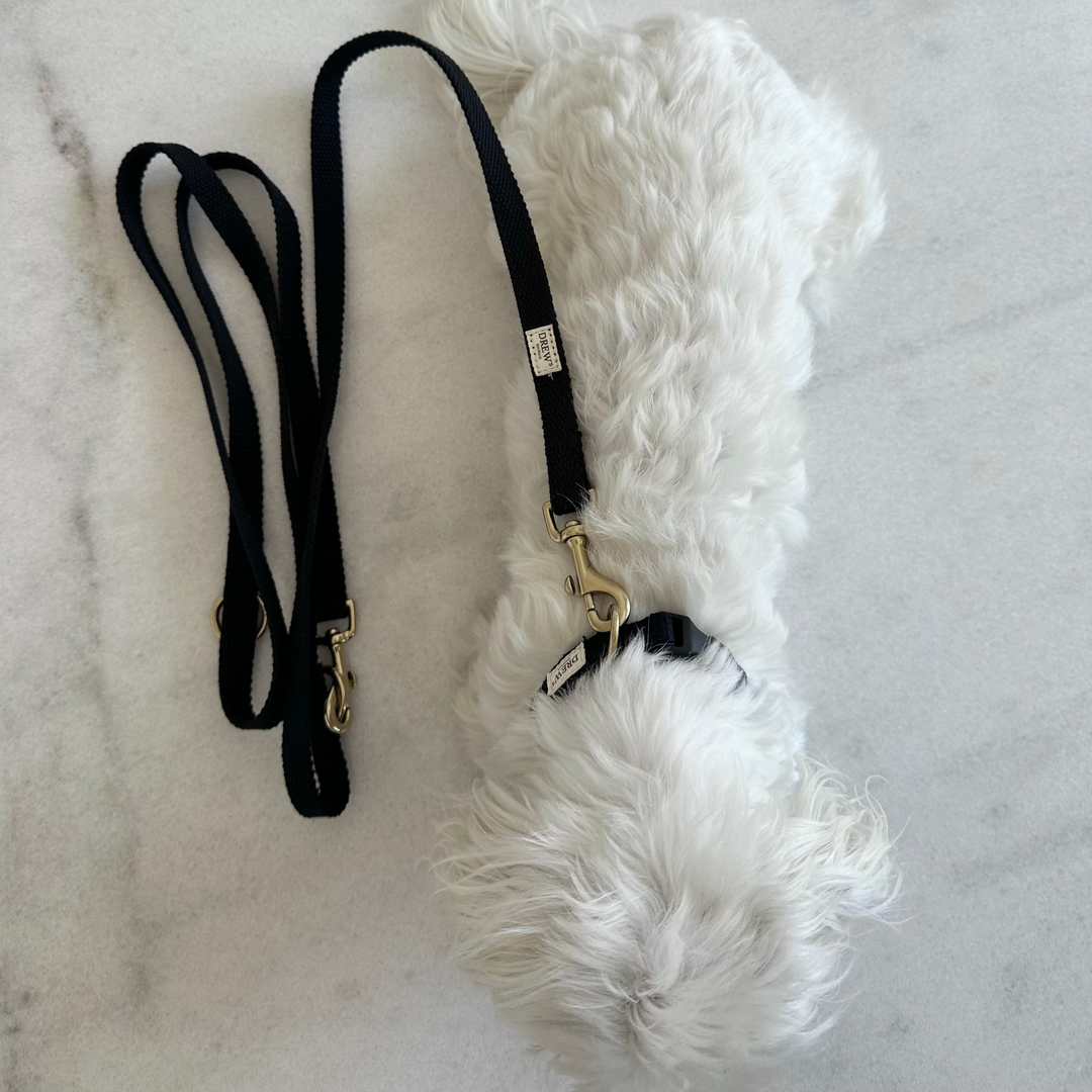 Hvid hund med sort snor