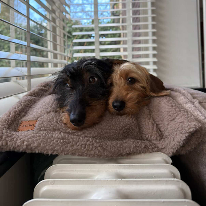 Blødt hundetæppe i teddy fleece - (brun)