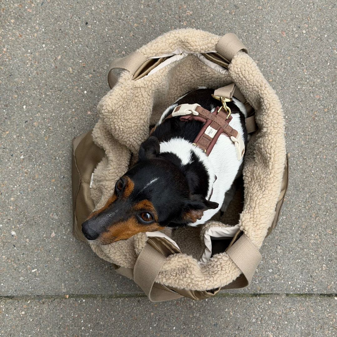 Sage / Hundetaske med teddy inderfor (2026)