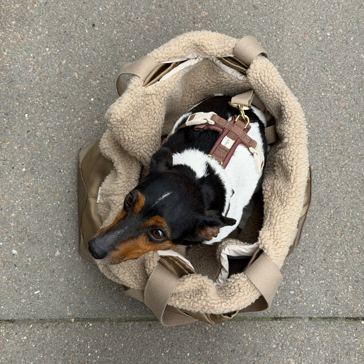 Sage / Hundetaske med teddy inderfor (2026)