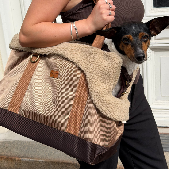 Aspen / Hundetaske med teddy inderfor (2026)