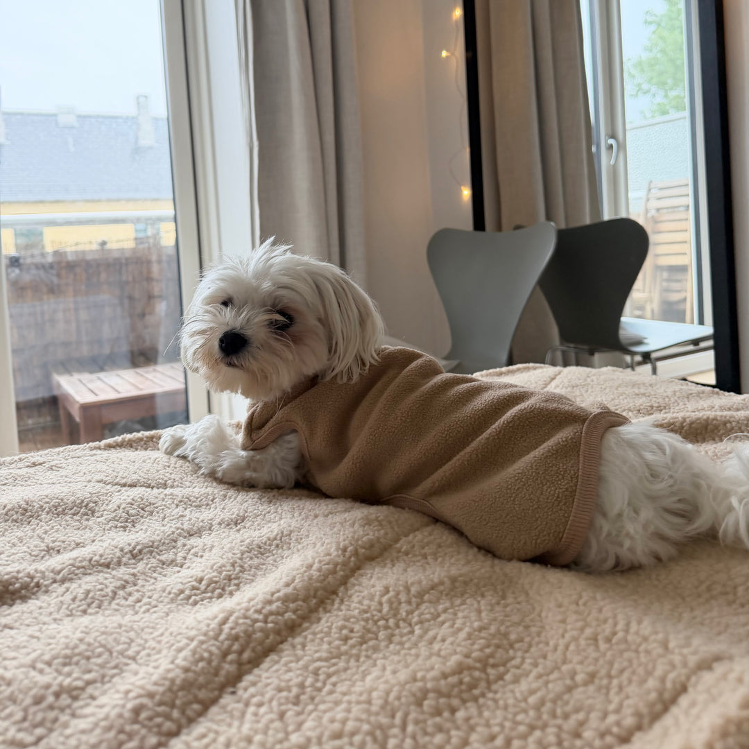 Kyoto / Fleece-Hundepullover (beige)
