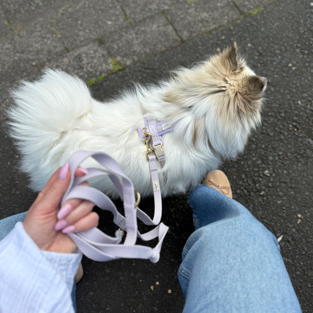 Lavender / Blød & justerbar hundesele (PRO)