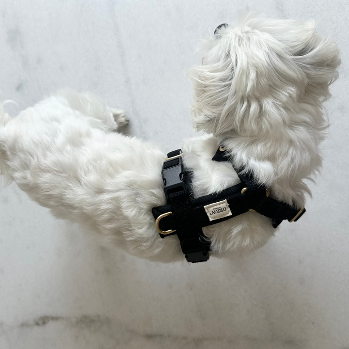 Sort PRO / Justerbar hundesele (Sort)