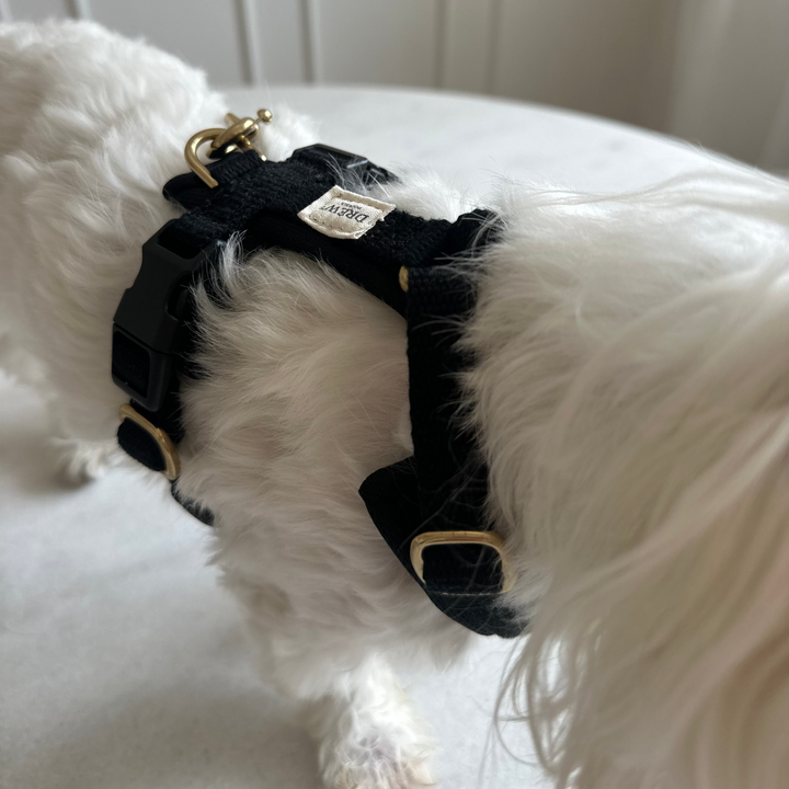 Sort PRO / Justerbar hundesele (Sort)