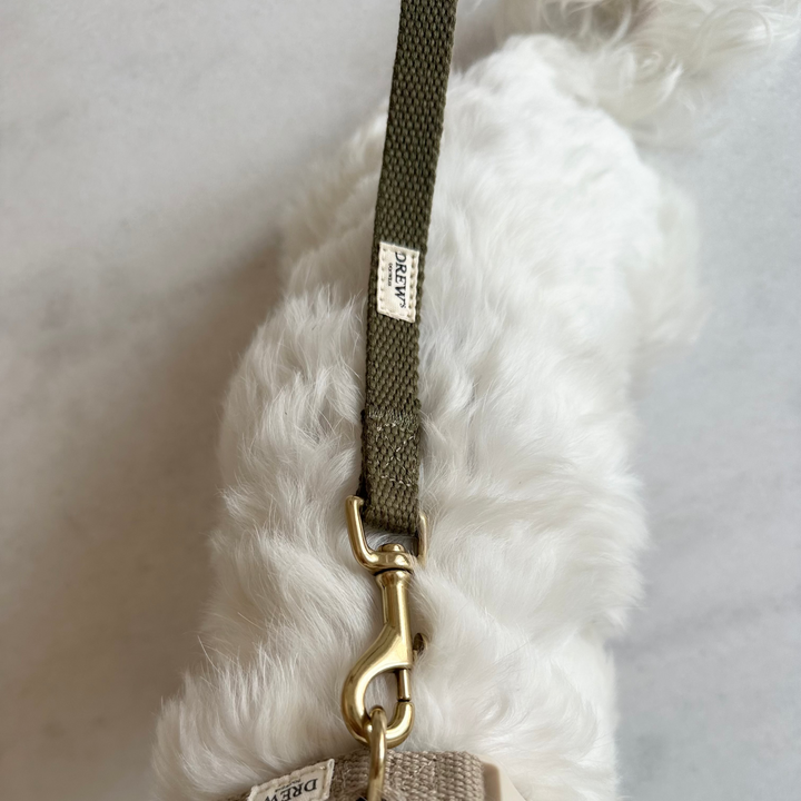 Olive / Justerbar hundesnor af bomuld (Grøn)