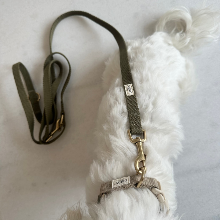 Olive / Justerbar hundesnor af bomuld (Grøn)