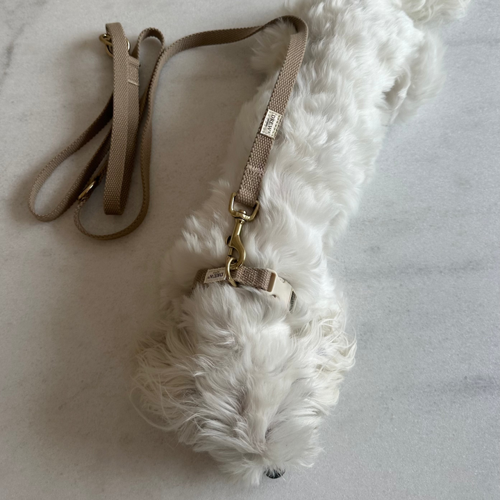 Beige / Justerbar hundesnor af bomuld (Beige)