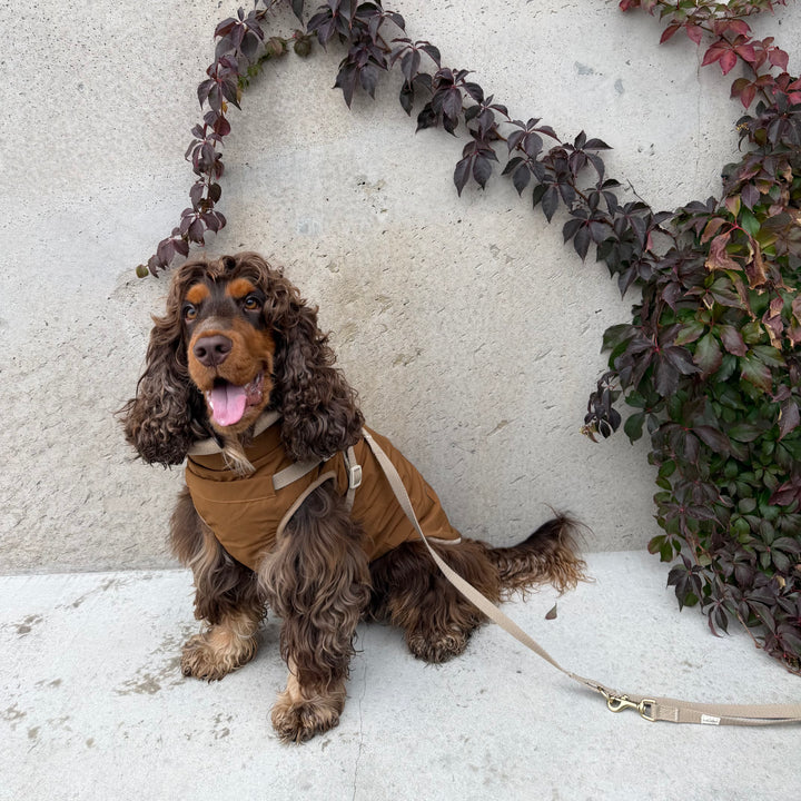 Zermatt / Step-in hundejakke (brun) 2026