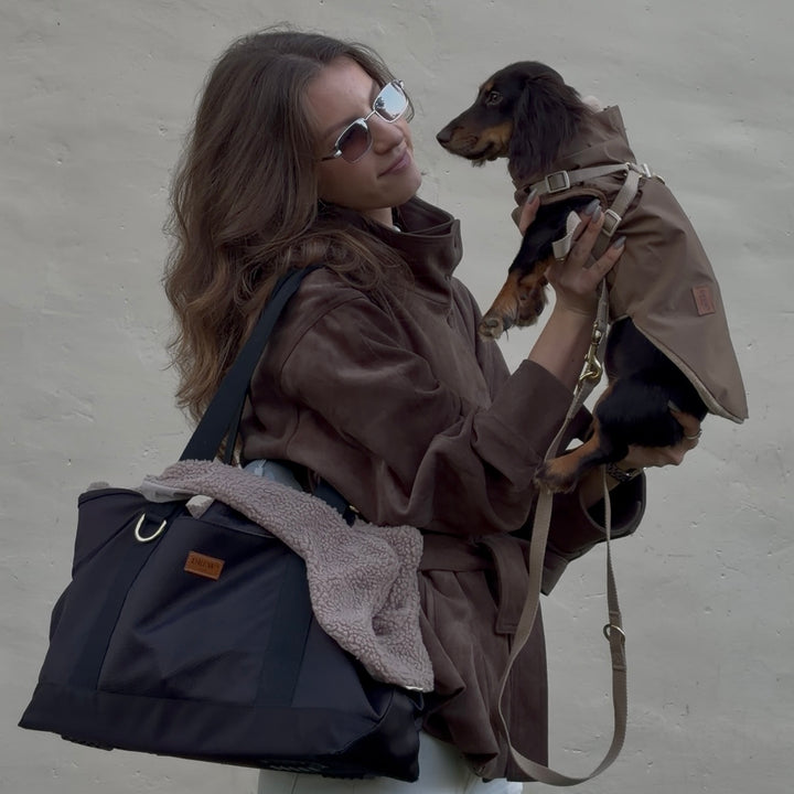 Zermatt / Dackel Step-in Hundejacke (sand) 2026
