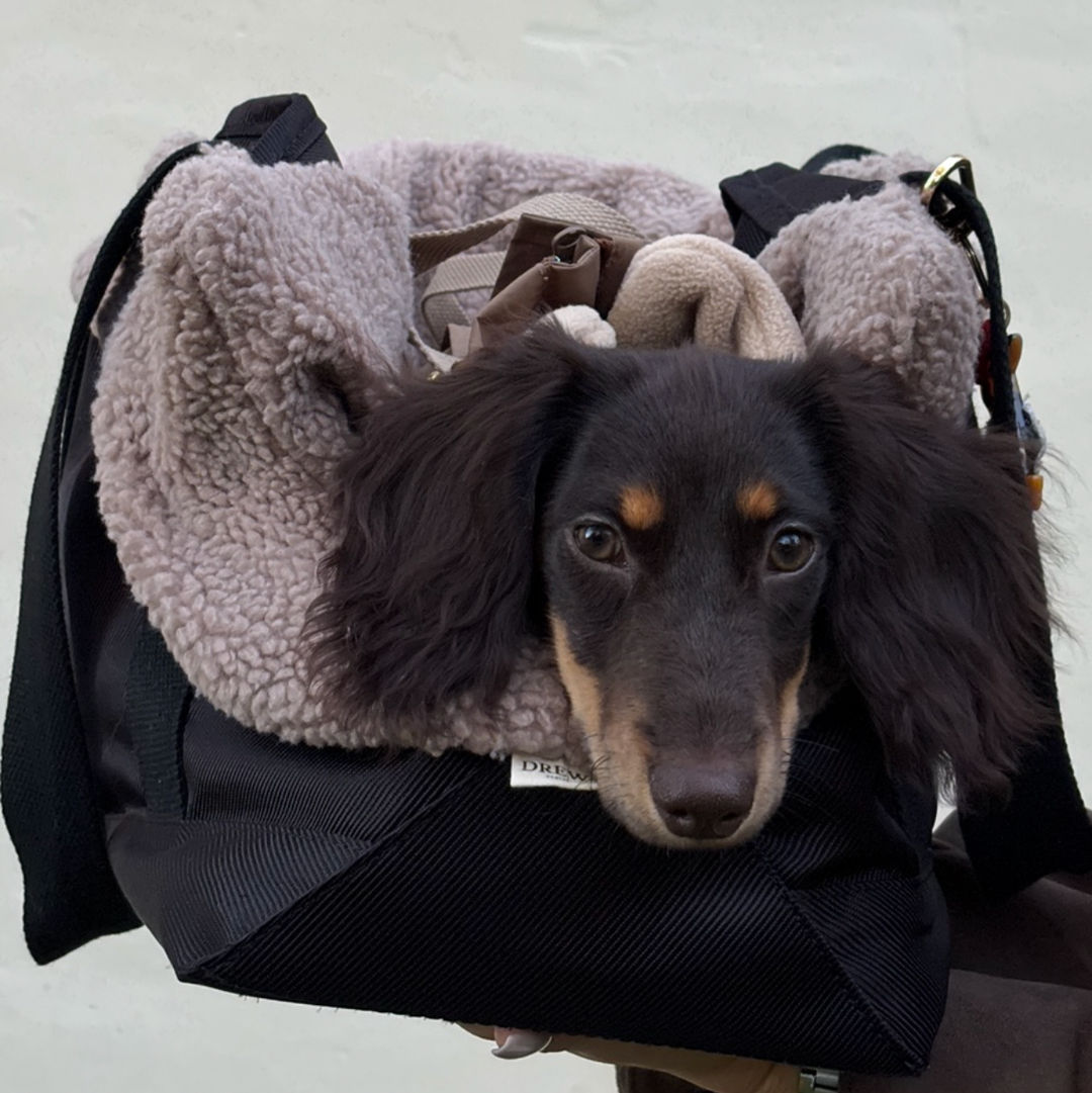 Noir / Dog bag with teddy lining (2026)