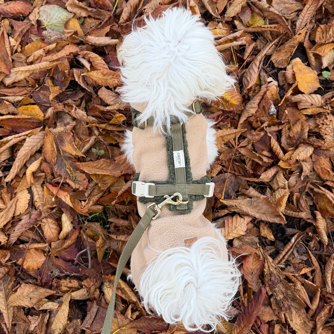 Olive / Blød & justerbar hundesele (teddy)