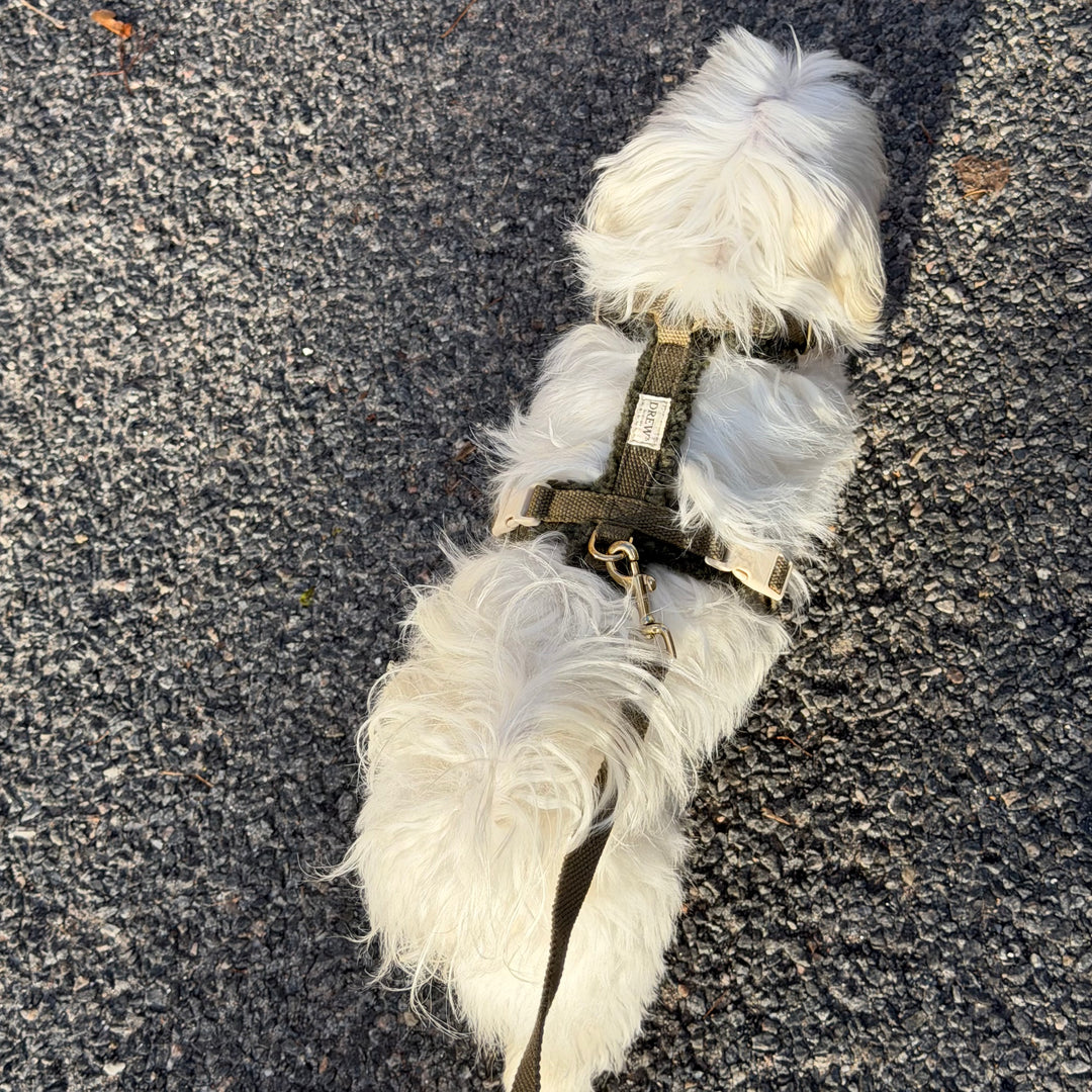 Olive / Blød & justerbar hundesele (teddy)