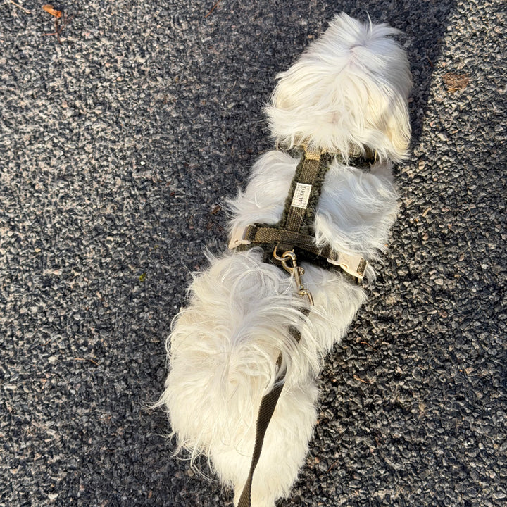 Olive / Blød & justerbar hundesele (teddy)