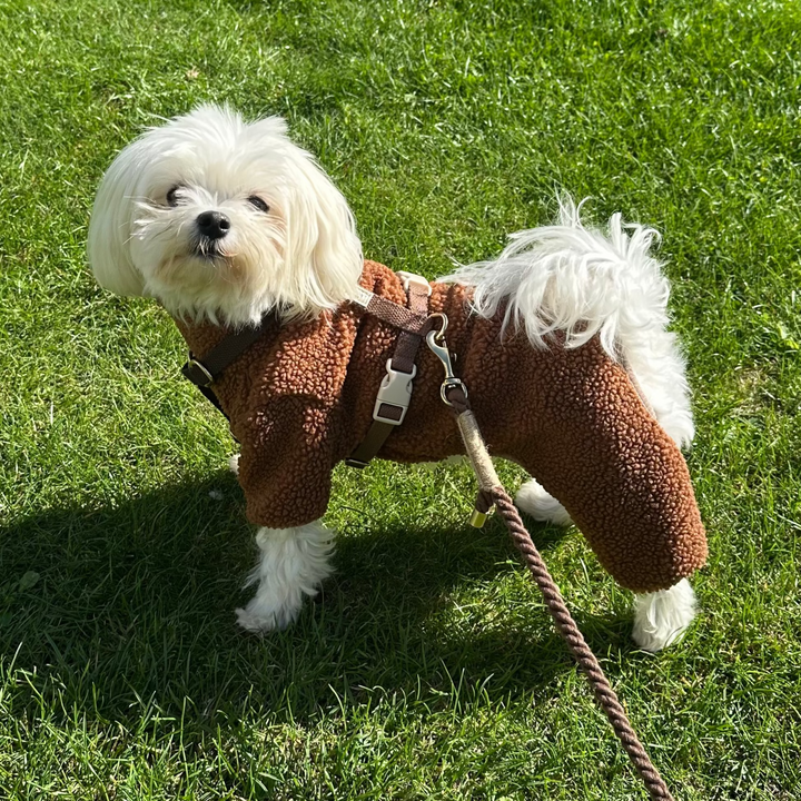 MILO // Dog sweater in soft teddy material (brown)