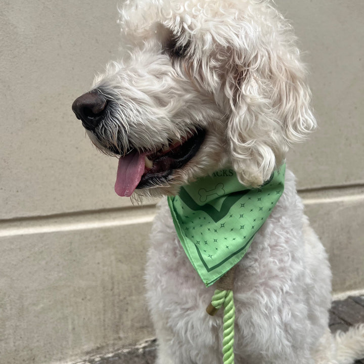 LIME / Stylish dog bandana for medium and large dogs (Green)