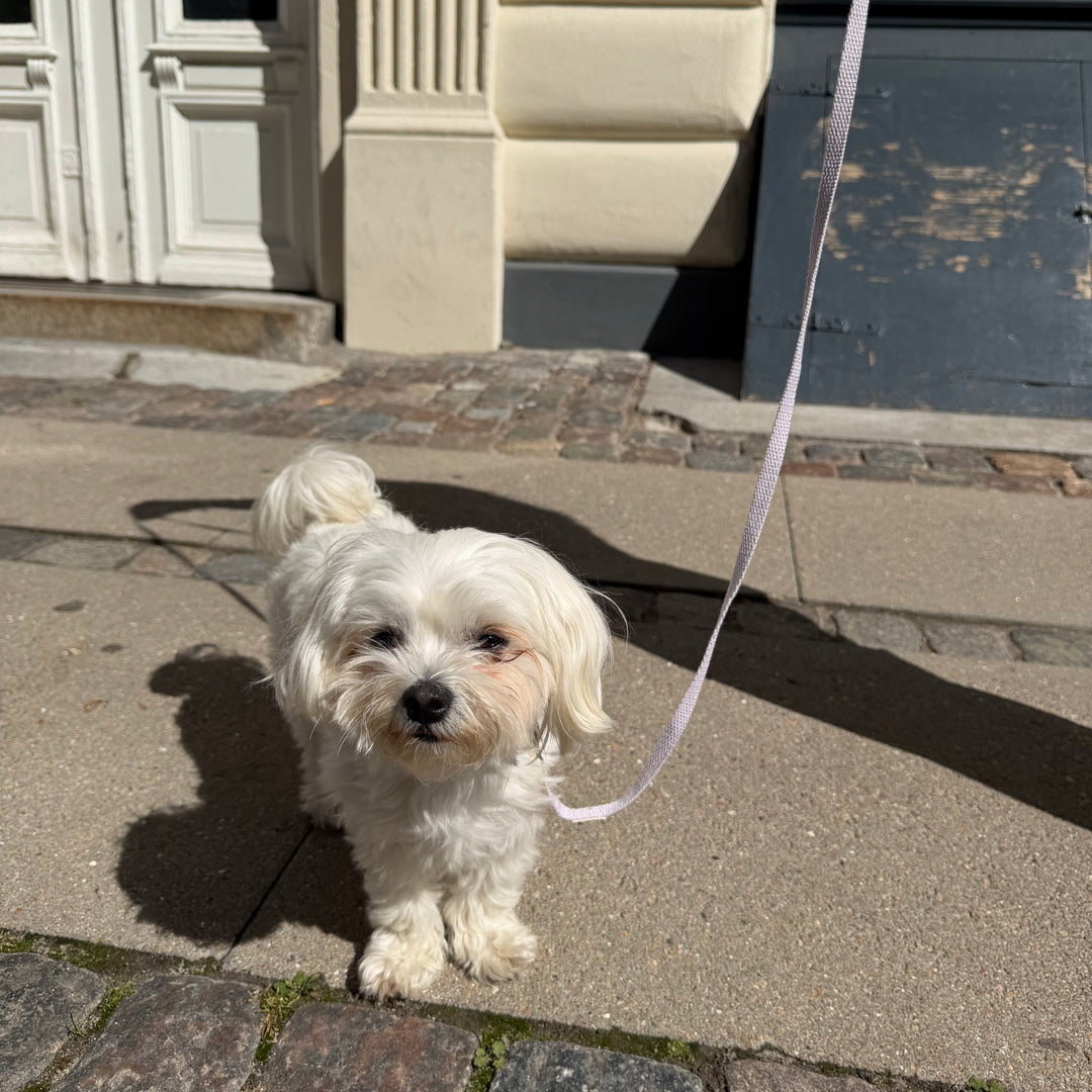 Lilla / Let og blød hvalpesnor (mini)