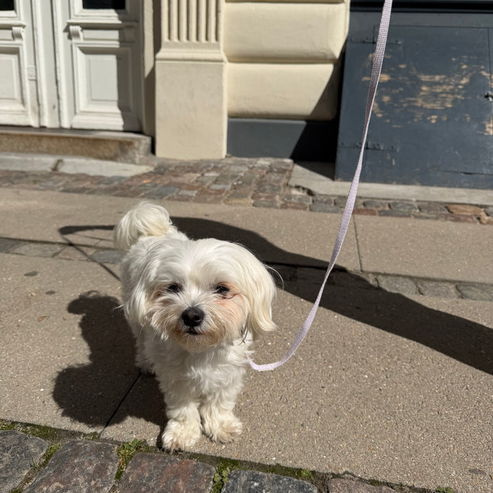 Lilla / Let og blød hvalpesnor (mini)