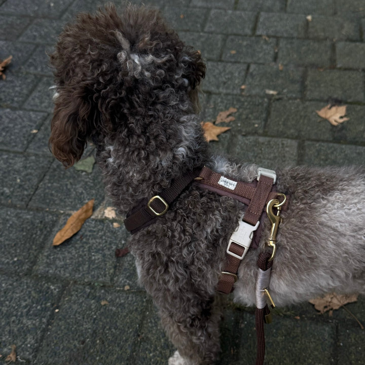Chocolate / Soft & adjustable dog harness (PRO)