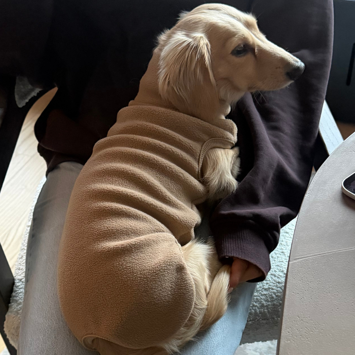 Kyoto / Fleece hundesweater gravhund (beige)