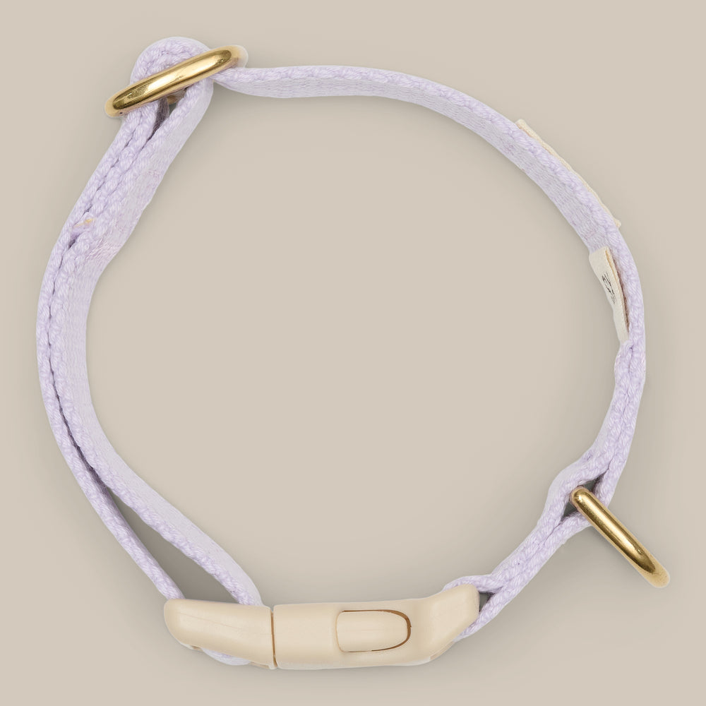 Lilla hvalpehalsbånd