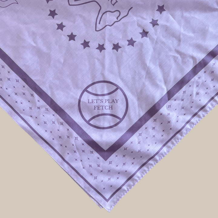 Lilla bandana med teksten "LET'S PLAY FETCH" 