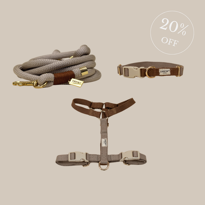 Beiges Set - Geschirr + Halsband + Kordel