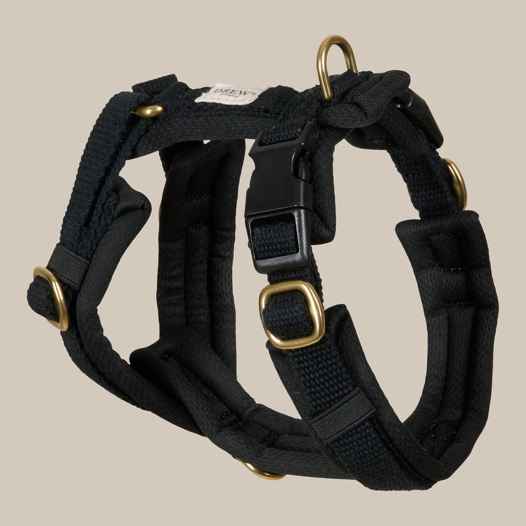 Sort hundsele med guld hardware