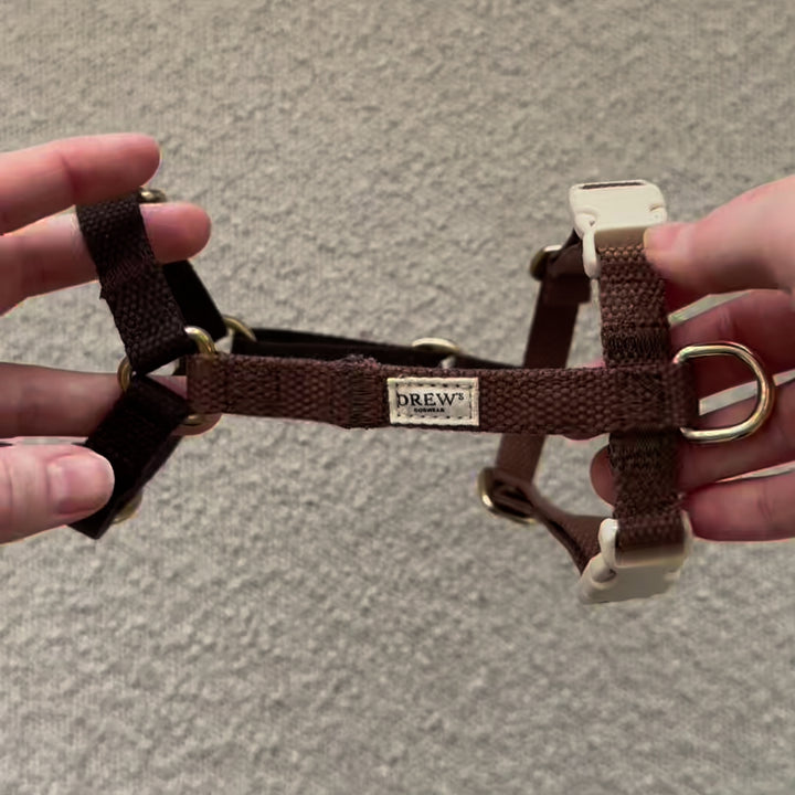 Chocolate / Dog harness